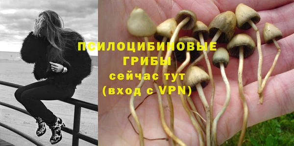 марки nbome Алексеевка