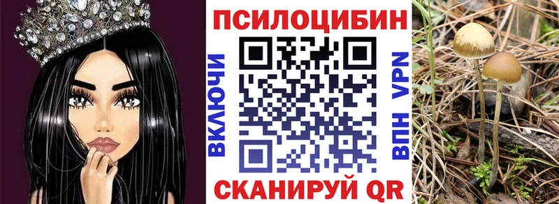 закладки  Карачев  Псилоцибиновые грибы Cubensis 